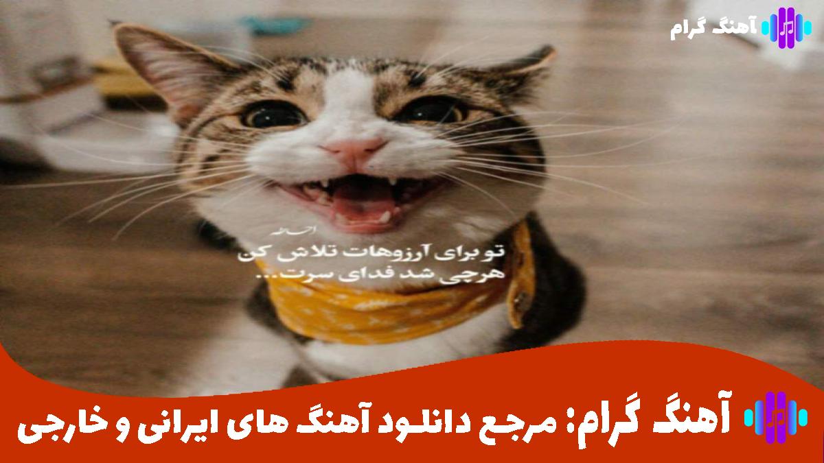 کاور آهنگ واسه تو صد دفعه خوردم زمین حیف از هایده